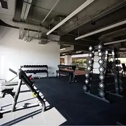 atletik-performans(1)