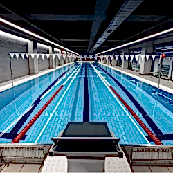 inventist-akademik-yuzme(4)