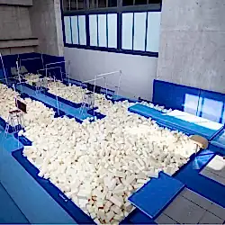 inventist-cimnastik-akademi(10)